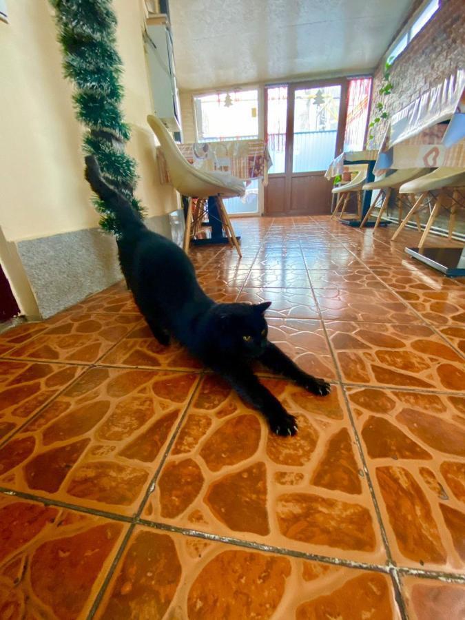 Esentai Hostel Almatı Dış mekan fotoğraf